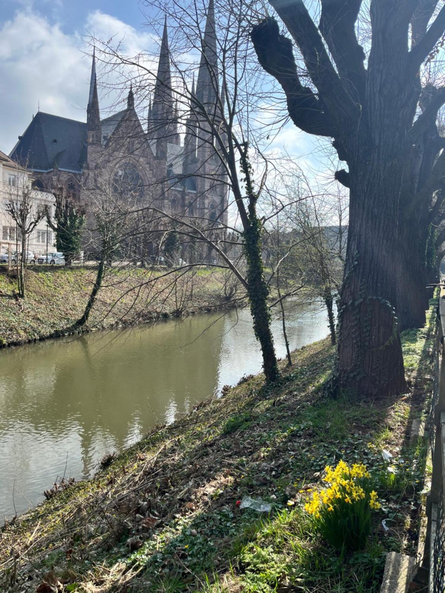 Le Petit Brooklyn Apartman Strasbourg Kültér fotó